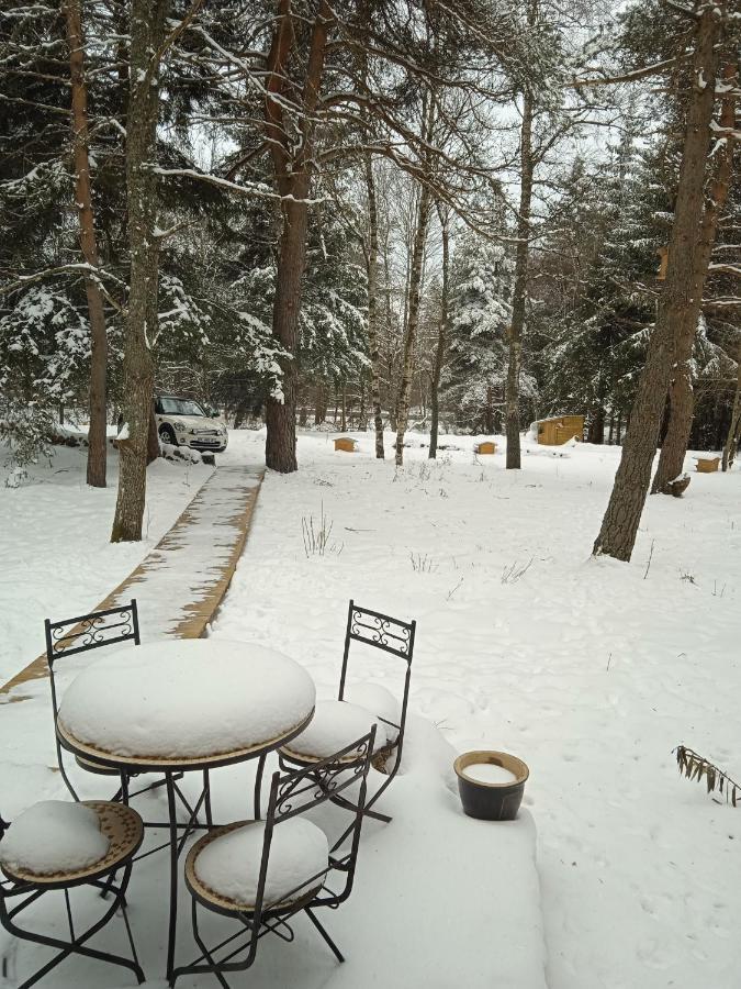 Chalet Cricri Domaine De La Mamounette Champclause Εξωτερικό φωτογραφία