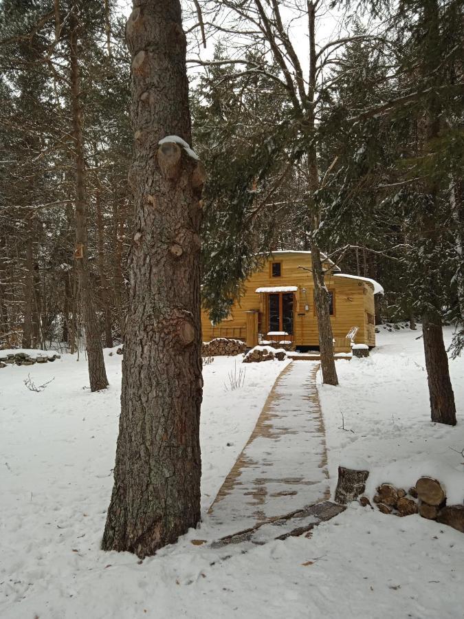 Chalet Cricri Domaine De La Mamounette Champclause Εξωτερικό φωτογραφία