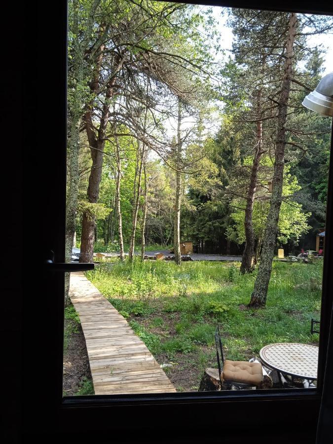 Chalet Cricri Domaine De La Mamounette Champclause Εξωτερικό φωτογραφία