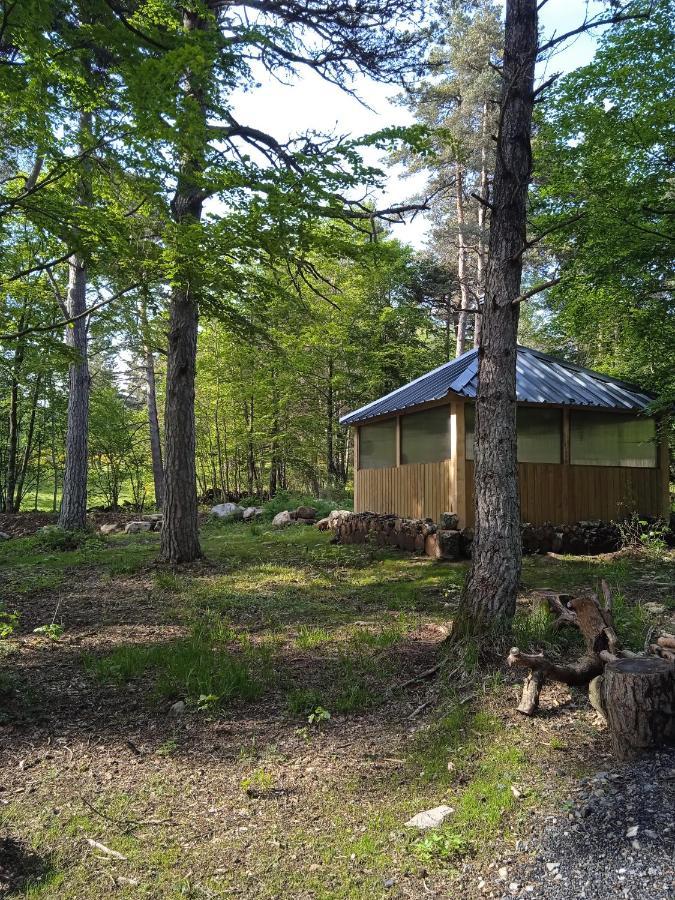 Chalet Cricri Domaine De La Mamounette Champclause Εξωτερικό φωτογραφία